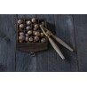 Organic hazelnuts in shell from Corsica - direct producer