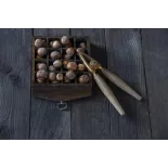 Organic hazelnuts in shell from Corsica - direct producer