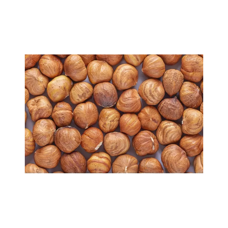 Noisette AOP Avellana de Reus décortiquée crue entière - Direct pro...