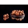 Whole hazelnut PDO Avellana de Reus peeled raw - Direct producer
