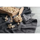 Noix de Cajou Crues Bio & fairtrade & Forest Garden du Vietnam