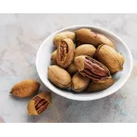Noix de Pécan Bio crues en coque d'Italie