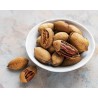 Organic raw pecans in shell from Italy
