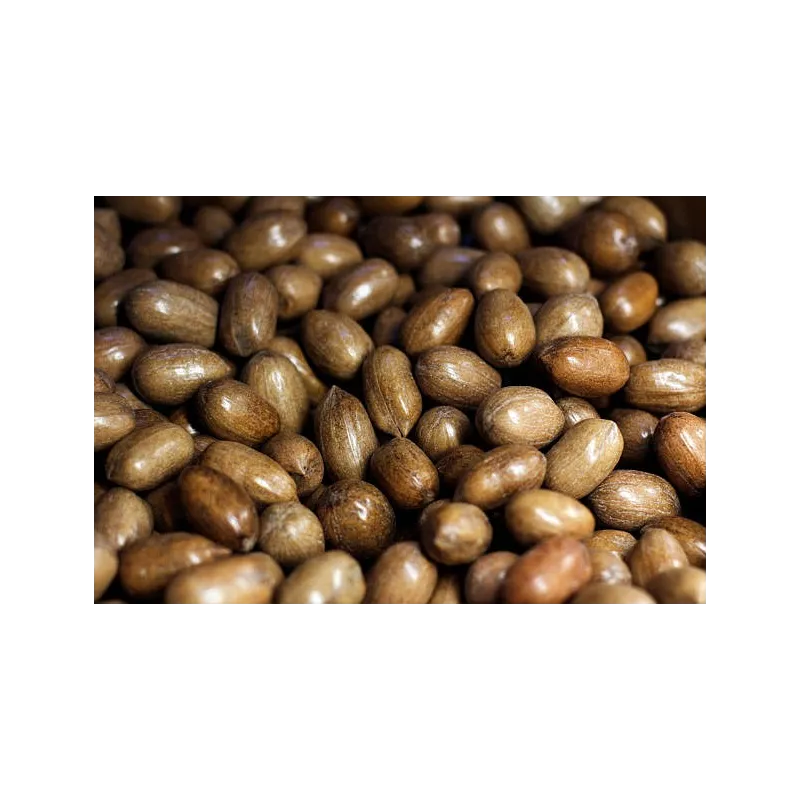 Noix de Pécan Bio crues en coque d'Italie
