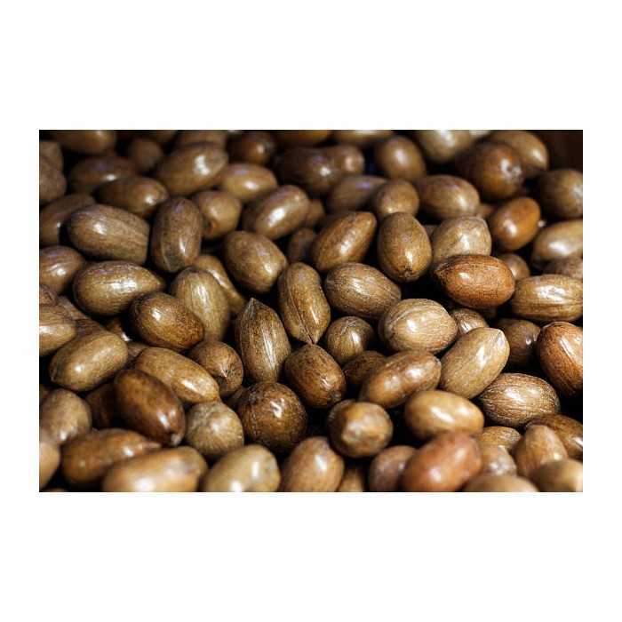Organic raw pecans in shell from Italy