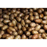 Noix de Pécan Bio crues en coque d'Italie