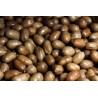 Organic raw pecans in shell from Italy