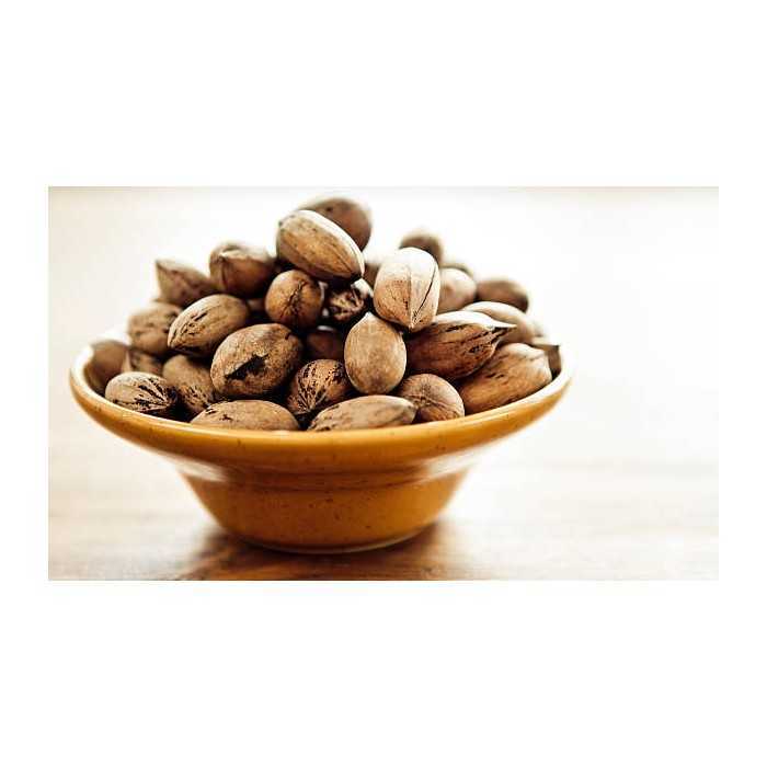 Organic raw pecans in shell from Italy