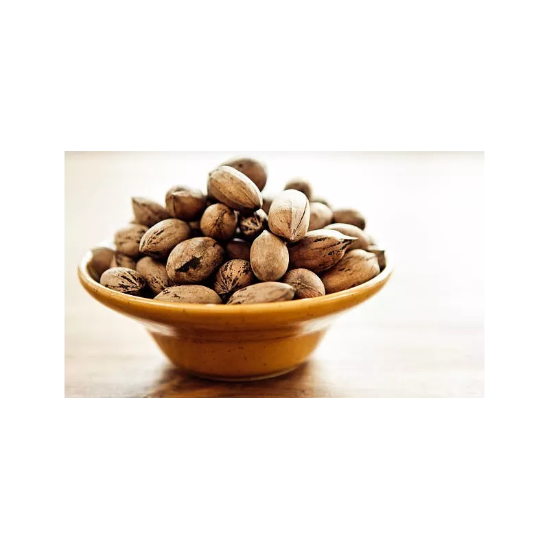Organic raw pecans in shell from Italy