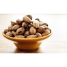 Organic raw pecans in shell from Italy