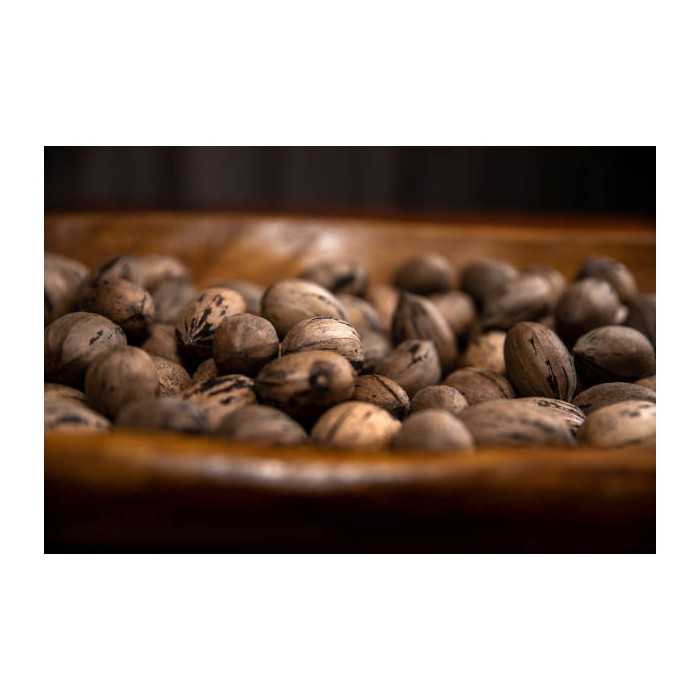 Organic raw pecans in shell from Italy