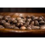 Organic raw pecans in shell from Italy