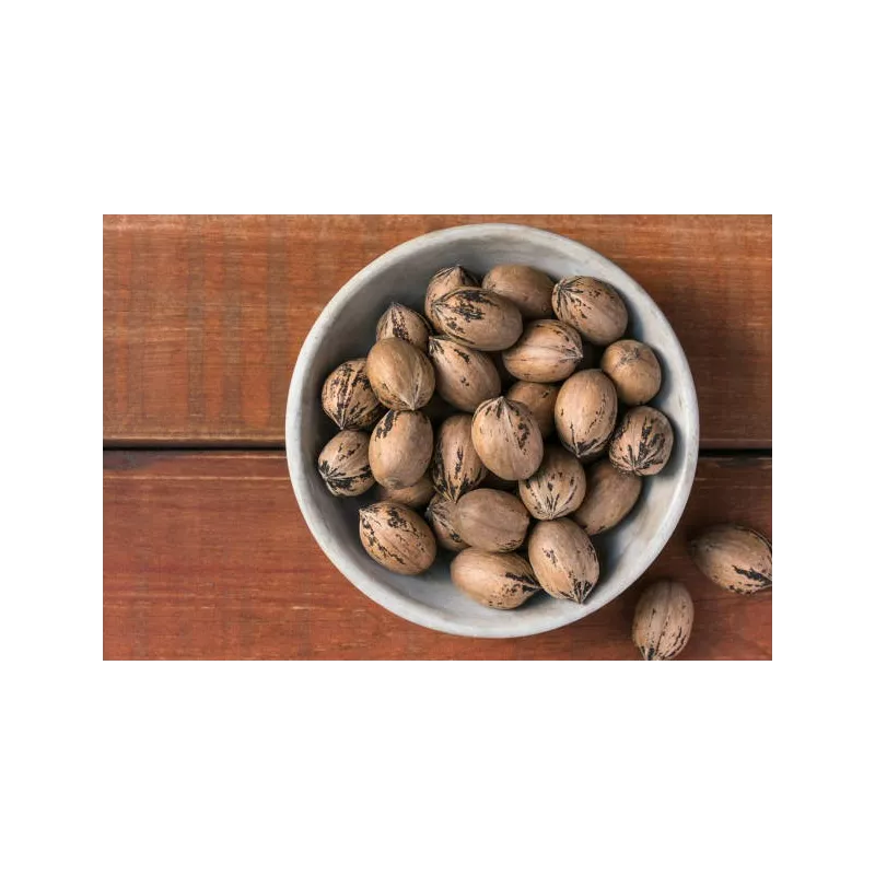 Noix de Pécan Bio crues en coque d'Italie