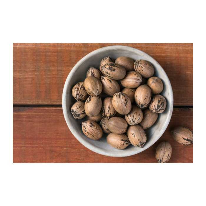 Organic raw pecans in shell from Italy