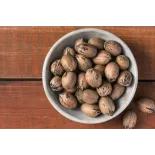 Organic raw pecans in shell from Italy