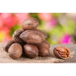 Organic raw pecans in shell from Italy