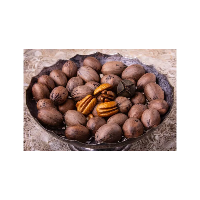 Noix de Pécan Bio crues en coque d'Italie