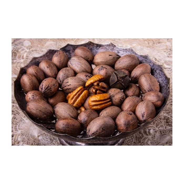 Organic raw pecans in shell from Italy