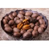 Organic raw pecans in shell from Italy