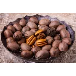 Organic raw pecans in shell from Italy