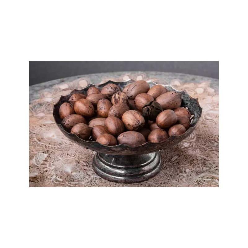 Noix de Pécan Bio crues en coque d'Italie Noix de Pécan Bio crues en coque d'Italie