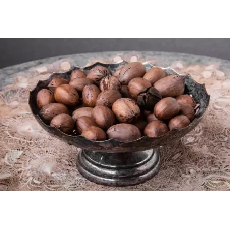Organic raw pecans in shell from Italy