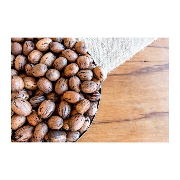 Organic raw pecans in shell from Italy