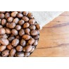 Organic raw pecans in shell from Italy