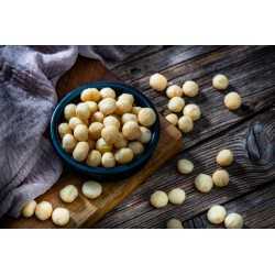Organic Raw Macadamia Nuts from Australia - Direct producer