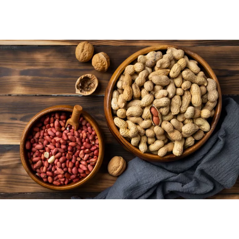 Cacahuètes ou arachides crues bio & fairtrade d'Ouzbékistan