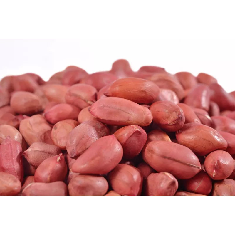 Cacahuètes ou arachides crues bio & fairtrade d'Ouzbékistan
