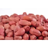 Organic & fairtrade raw peanuts from Uzbekistan