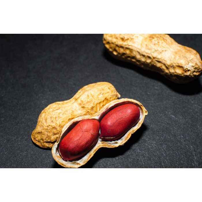Organic & fairtrade raw peanuts from Uzbekistan