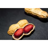 Cacahuètes ou arachides crues bio & fairtrade d'Ouzbékistan