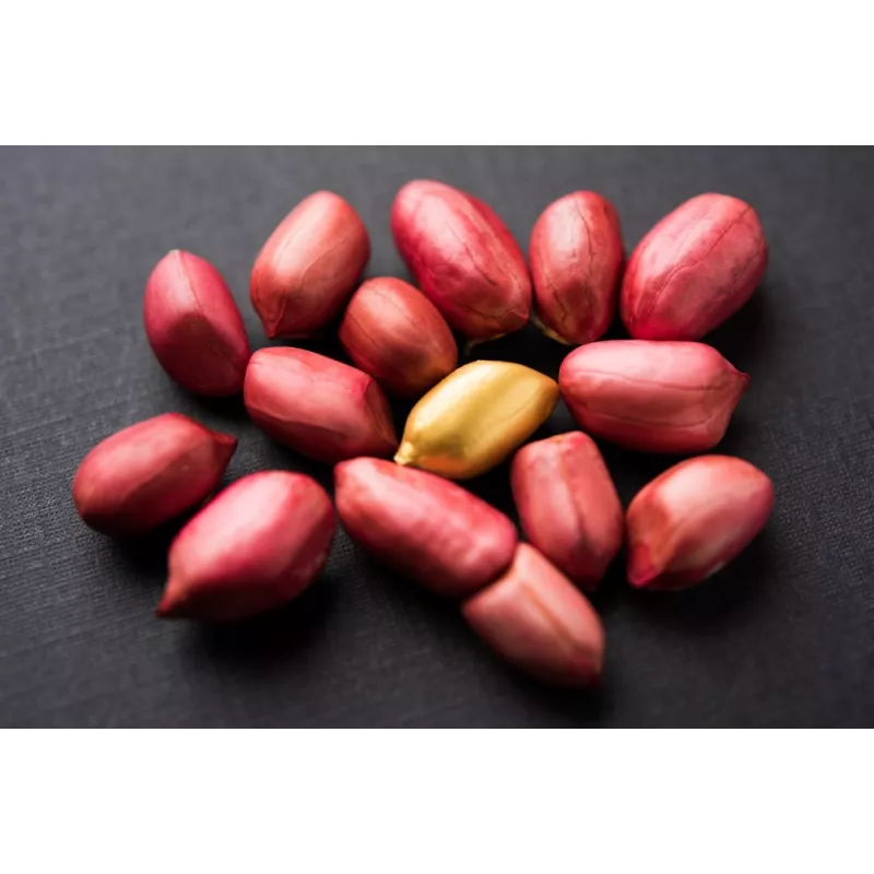 Cacahuètes ou arachides crues bio & fairtrade d'Ouzbékistan