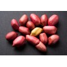 Organic & fairtrade raw peanuts from Uzbekistan