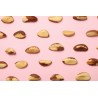 Organic & fair trade Brazil nuts whole wild & raw from Bolivia