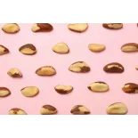 Organic & fair trade Brazil nuts whole wild & raw from Bolivia