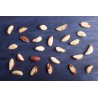 Organic & fair trade Brazil nuts whole wild & raw from Bolivia