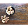 Organic & fair trade Brazil nuts whole wild & raw from Bolivia