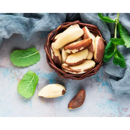 Organic & fair trade Brazil nuts whole wild & raw from Bolivia