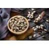 Organic pistachios PDO from Brontë in shell grilled and without sal...