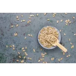 Organic raw peeled EPV sunflower seed from France - Direct artisan
