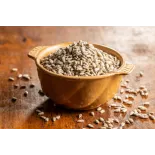 Organic raw peeled EPV sunflower seed from France - Direct artisan