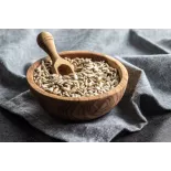 Organic raw peeled EPV sunflower seed from France - Direct artisan