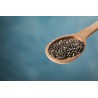 Organic black chia seeds from France - direct producer