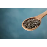 Organic black chia seeds from France - direct producer