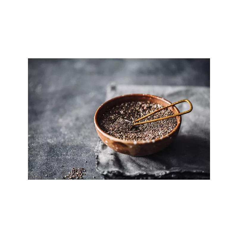 Organic black chia seeds from France - direct producer