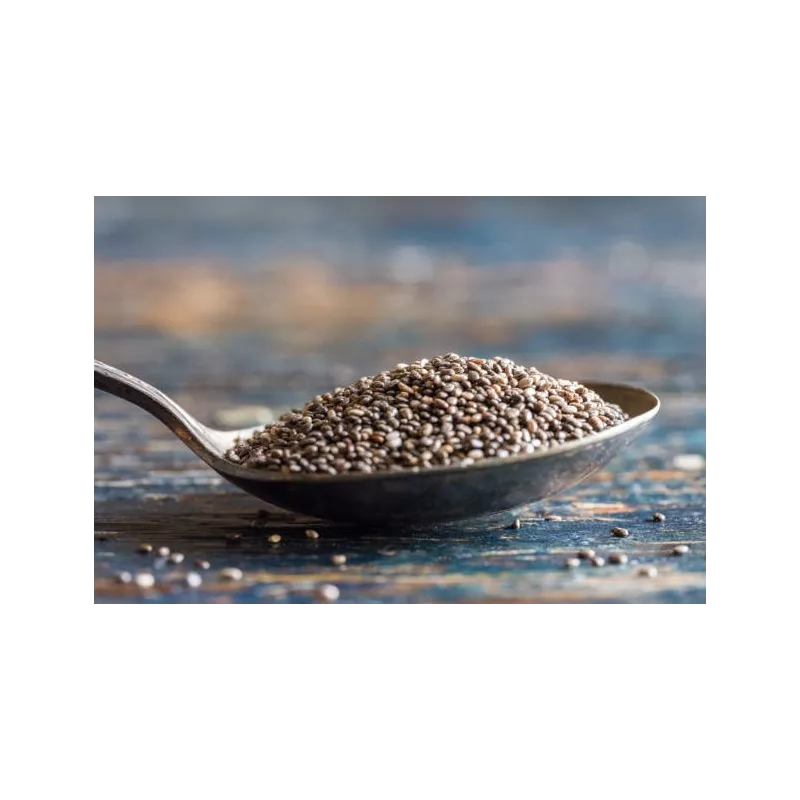 Organic black chia seeds from France - direct producer