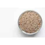 Graines de Chia blanches bio de France - direct producteur